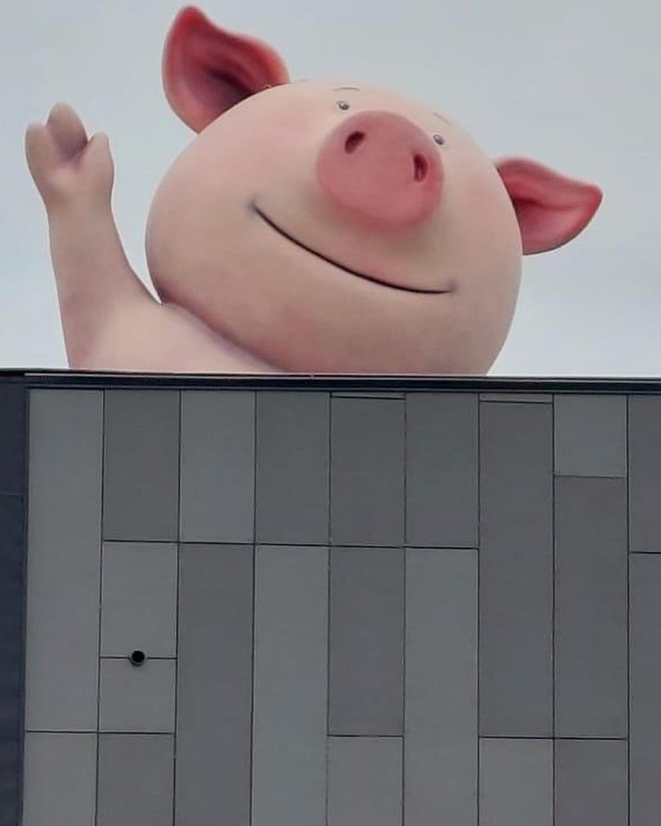 spur_creative's tweet photo. And the final push to get Percy to his supreme vantage point. This is how we did it. 😊
#percypig #spurcreativeworkshop #mandslocal #mands #marksandspencer https://t.co/hX4PhhzPa6