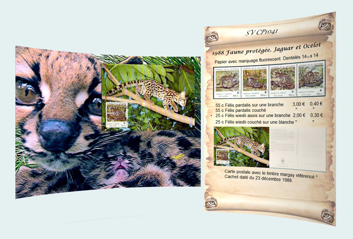 barbierjeanf's tweet photo. The margay or cat-tiger wild cat of New Spain Color printing A4
https://t.co/8nI9bEI9eW via @Etsy
#OriginalArtwork #WallDecor #scrapbooking #FirstDayPostcard #DigitalArt #VintageObject #SingleModel #Philately #GiftPhilatelist #GiftManWoman #A4ColorArtPrint #ElSalvadorstamp1988 https://t.co/ozrejReoP4
