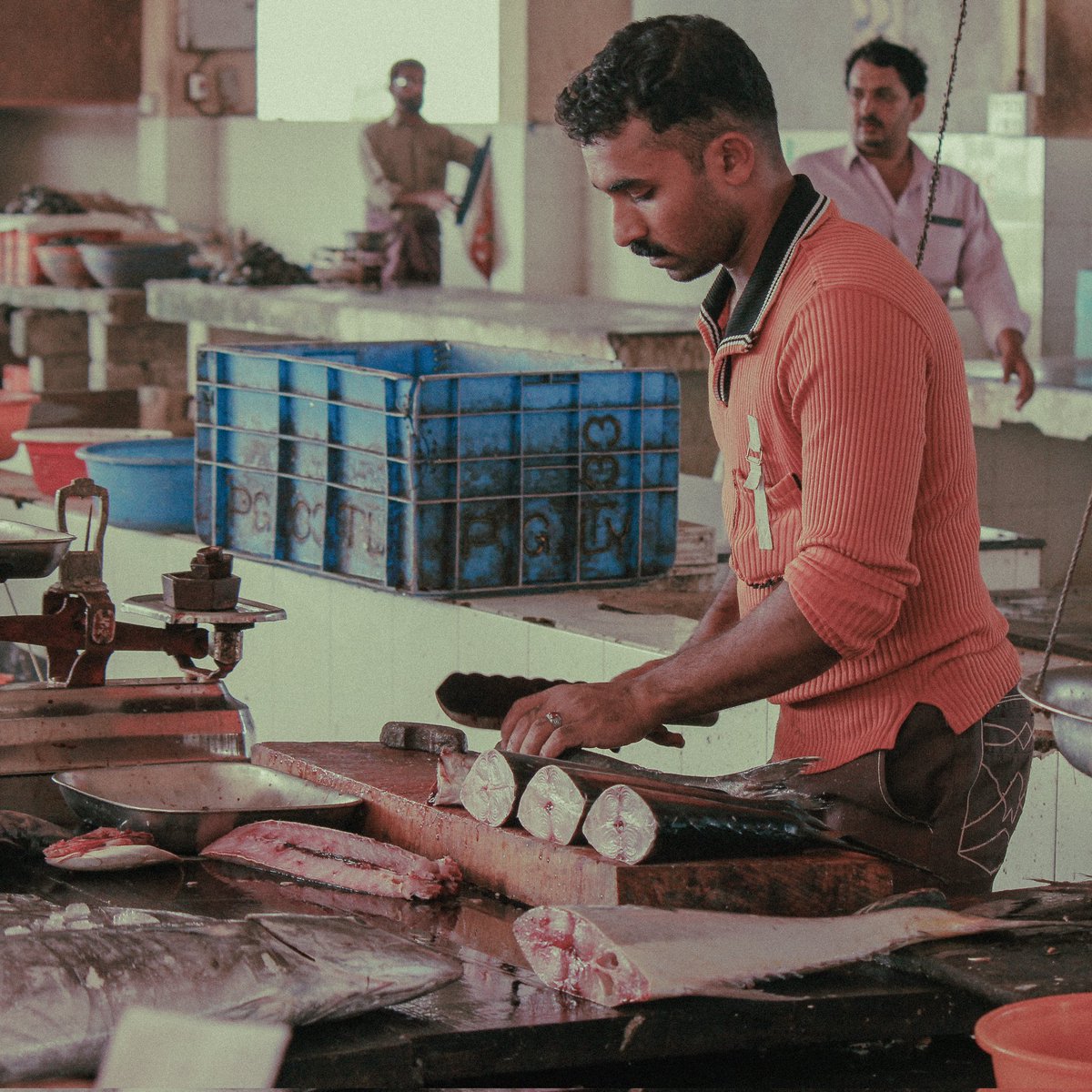 Gypsyshutter's tweet image. A busy fish vendor at Thalassey Fish Market, Kerala.
#gypsyshutter
.
.
.
#travelphotography #traveling #travel #wanderlust #yourshotphotographer #NFTCommmunity