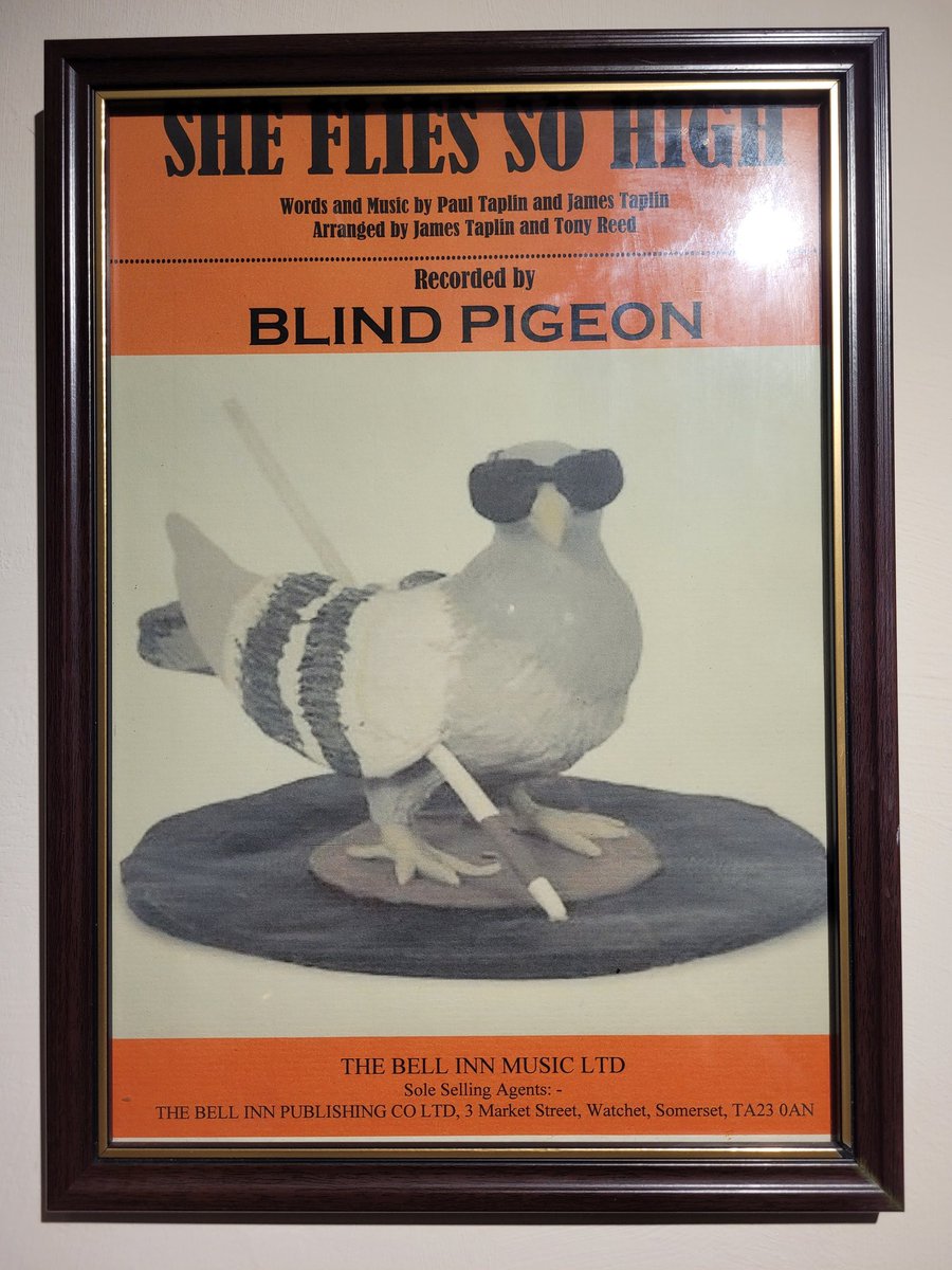 For one night only...
LIVE MUSIC from BLIND PIGEON
Saturday 14th May at 8.30pm
