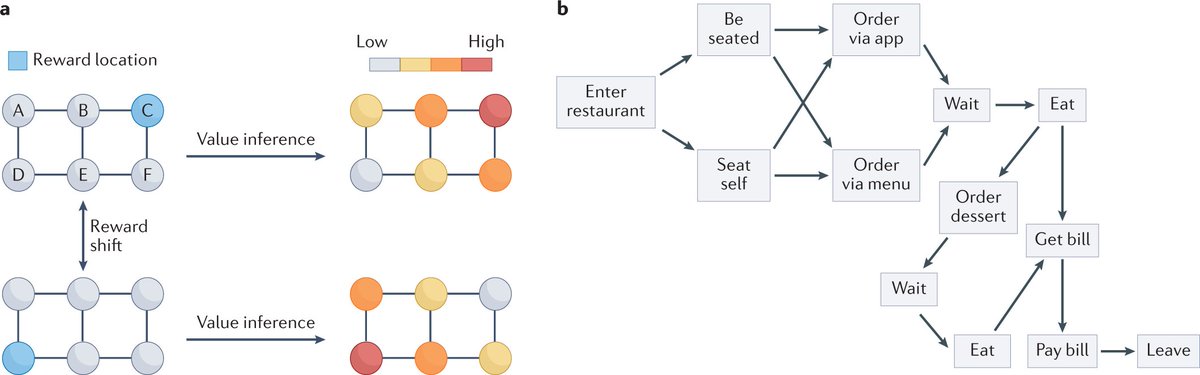 NatRevNeurosci's tweet photo. Taking stock of value in the orbitofrontal cortex – a new Review by Eric B. Knudsen (@EricBKnudsen1) and Joni D. Wallis 

https://t.co/VDmyJUi1M7 https://t.co/y74RUV906F