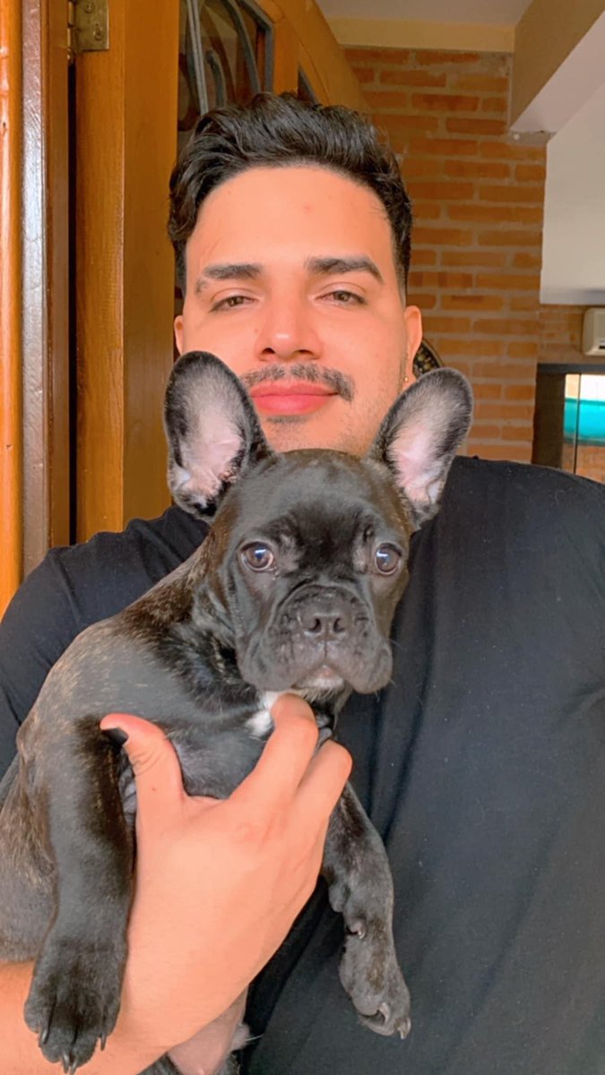 🐶🐶