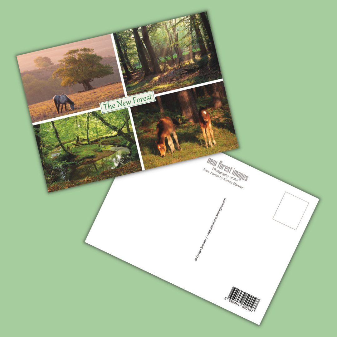 We printed these lovely nature themed A6 #postcards of the New Forest for landscape photographer - <a href="/NewForestImages/">Kevan Brewer</a>
"After using YouLovePrint for a short-run greetings card, I decided to give them a try for some postcards I needed and was very happy with the service."