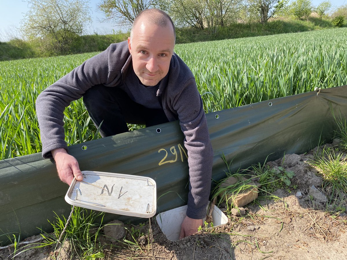 Johanna Daher tweet media