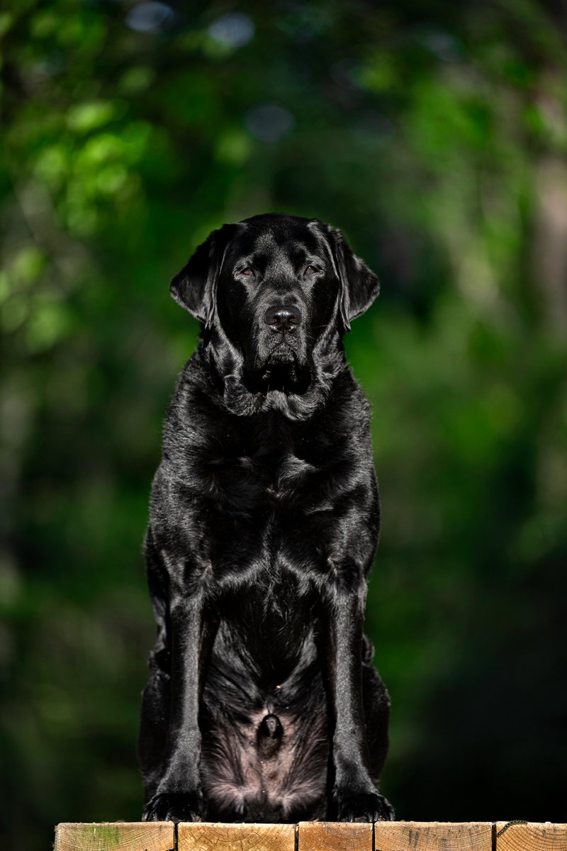 Stacy Pearsall tweet media