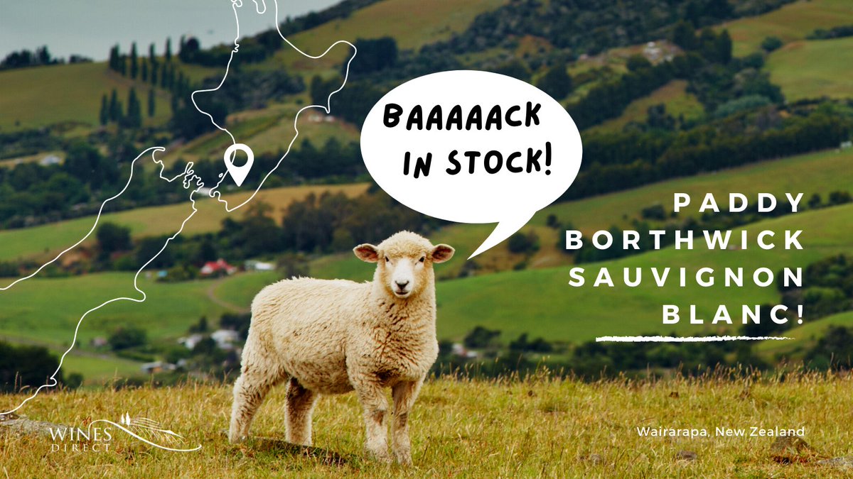WinesDirect's tweet photo. It's Baaaaack!🐏New Zealand Sauvignon Blanc from one of Wairarapa's OG Winemakers. If you're not already on the Paddy B. Wagon, get on board!
https://t.co/UJWUx6GCt4
#newzealandsauvignonblanc #organicwine #winesdirect #mullingar #dublin #ireland https://t.co/zsm2KIol9c