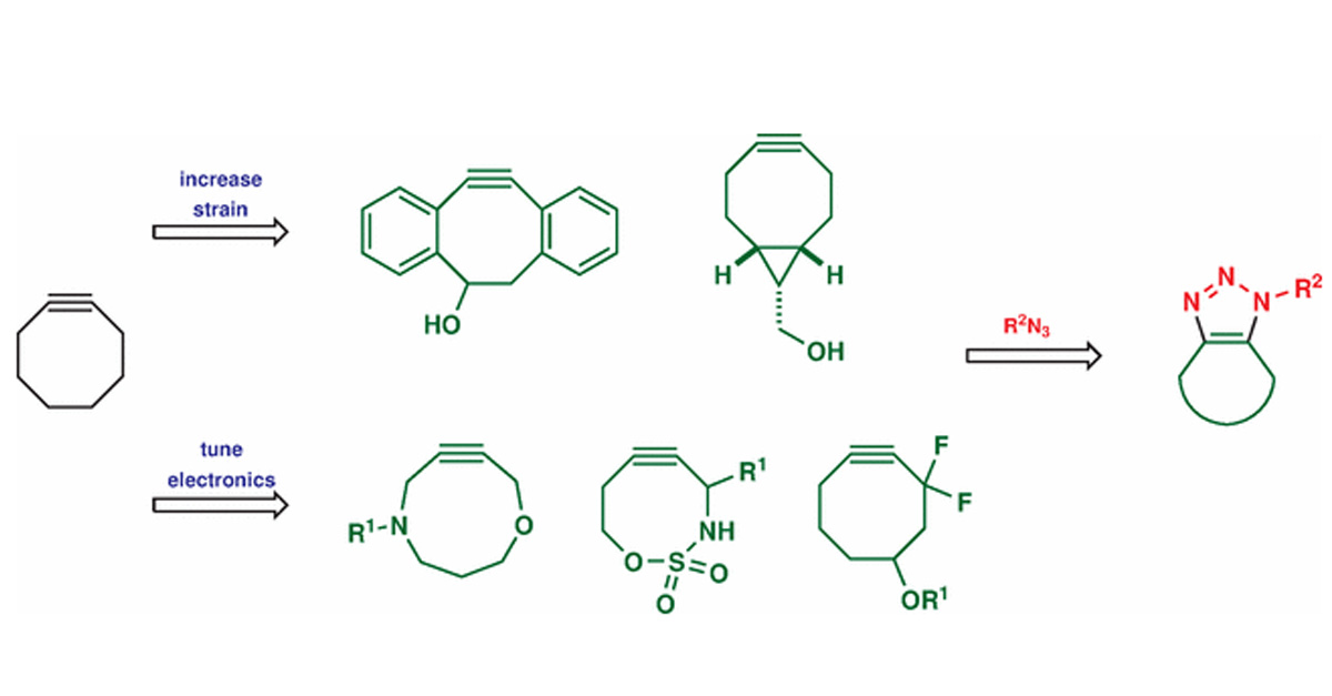 thiemechemistry's tweet image. SPAAC: strained cycloalkynes and controlling reactivity in click transformations, by Trevor Harris (@BalabushkaFury) and Igor Alabugin (@IAlabugin) for Science of Synthesis  #bioorthogonal @ChemistryFsu 

fal.cn/3o7ig 
fal.cn/3o7if