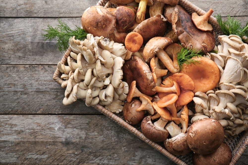 InstructorLive's tweet image. The Health Benefits of Mushrooms  

There are literally thousands of species on the planet, from puffballs to truffles they can be an everyday addition to your diet or a pricey treat at a fancy restaurant.  But, what health benefits do mushrooms possess?

instructorlive.com/helpful-articl…