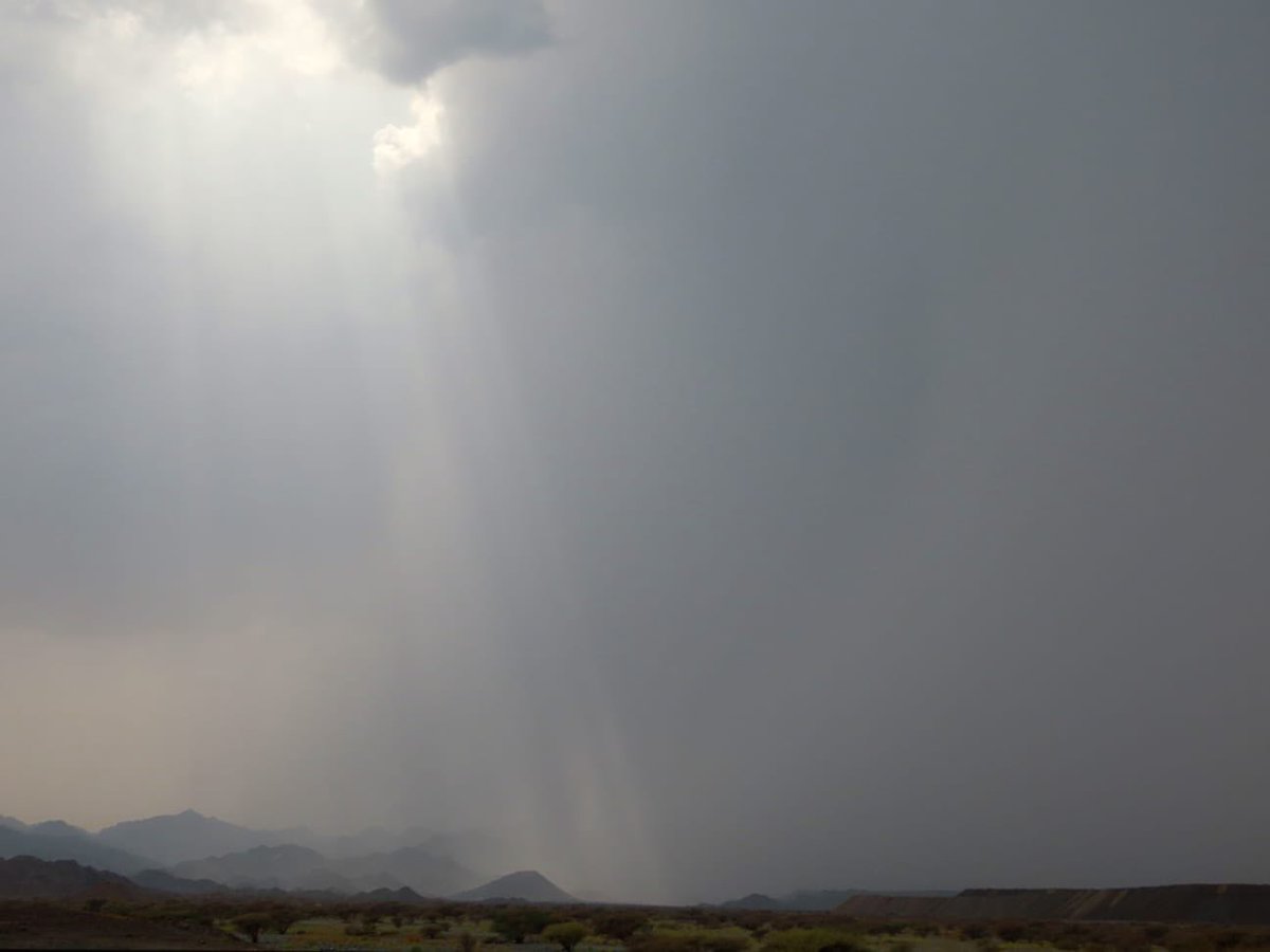 ستار المطر..جبال #شناص ب اتجاه رؤوس وادي فيض ⌚️٢:٥٦م #عبدالله_البدواوي #شبكه_رذاذ_الشتاء