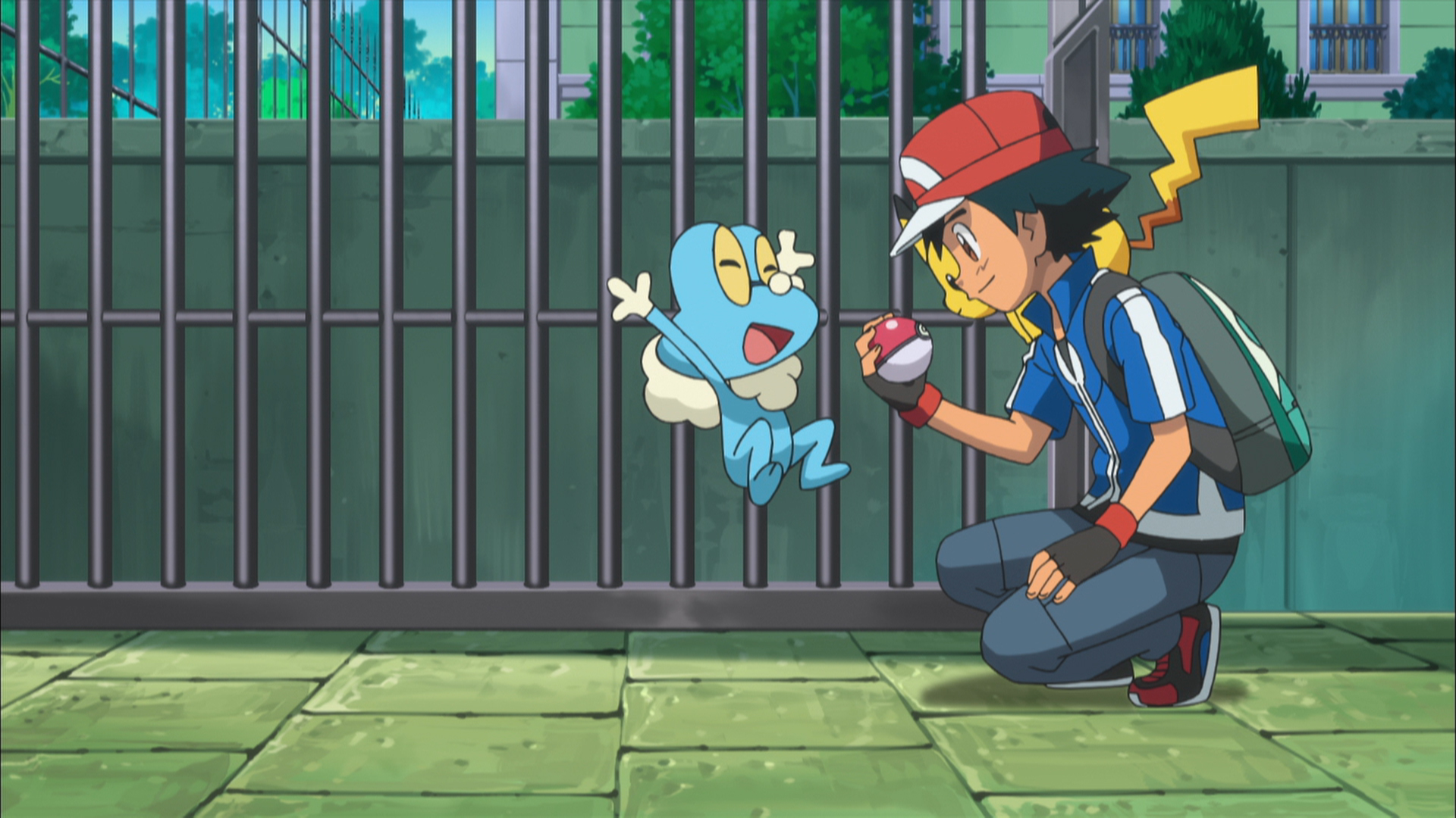 アニメ ポケットモンスター 公式 アニポケ 第108話で ゲッコウガ が登場 ポケットモンスターxy で サトシ がカロス地方で初めてゲットしたポケモンが ケロマツ 一緒に旅をする中で進化し 深い絆で結ばれました しかし カロスを守るため