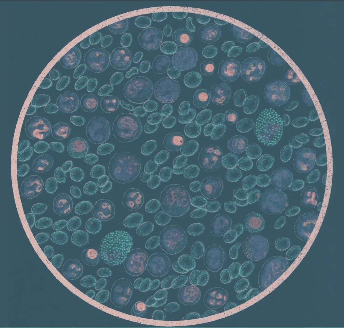 Could you drive the identification and development of therapeutics at the interface of cancer and virology? Managing an interdisciplinary team in a fast paced, exciting, environment?  

Then check out our Group Lead: Platform Development role here -  bit.ly/3ET70aZ