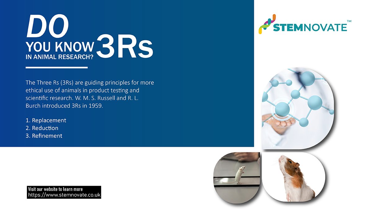 StemnovateL's tweet photo. We support #notoanimaltesting and follow the 3R principles. We work toward finding alternative models to reduce #animaltesting
https://t.co/OZ97rKDXgP
#stemnovate #drugdiscovery #NoAnimalTesting #AnimalCells #AnimalHealth https://t.co/gKPw1hECSe