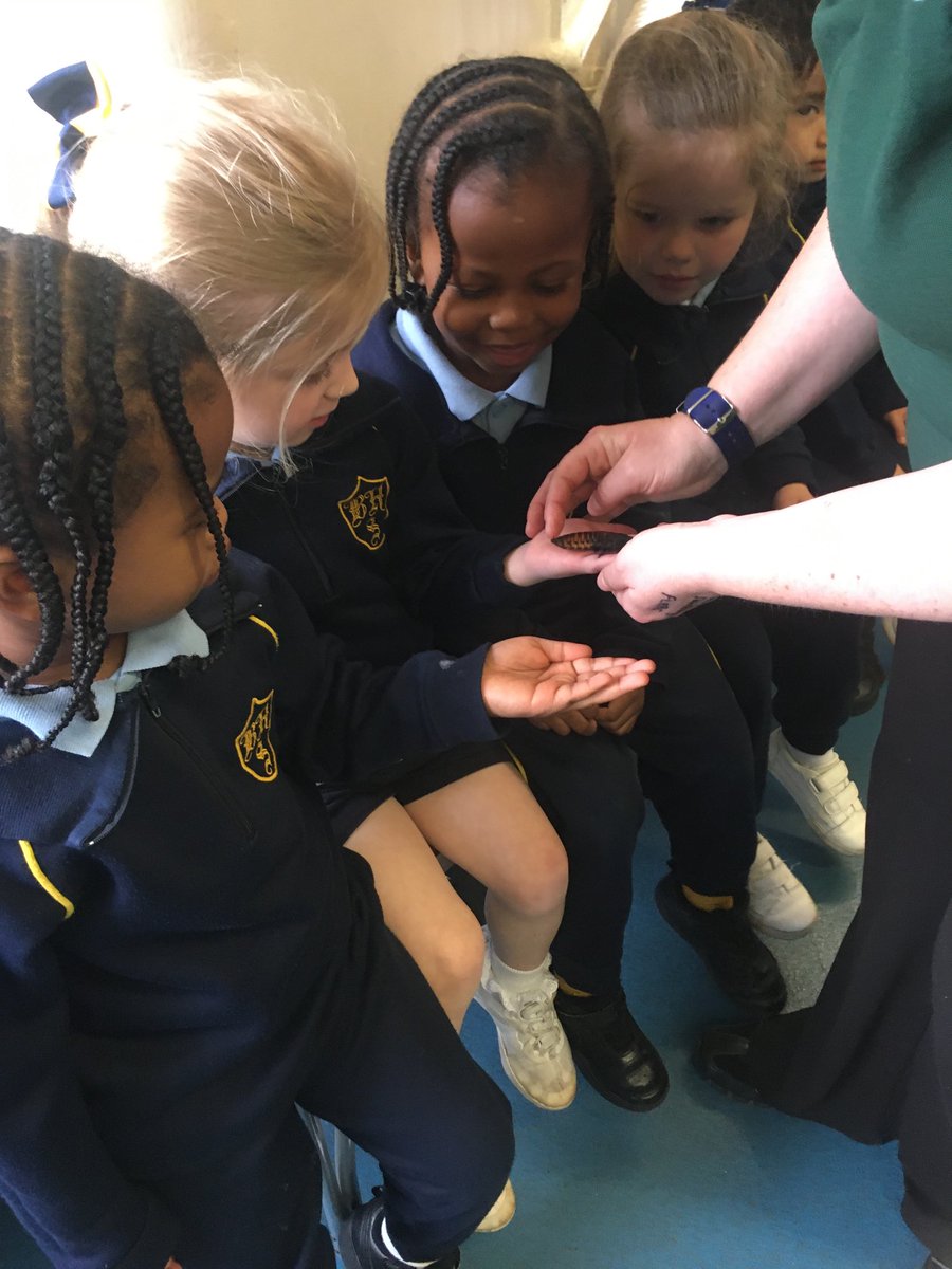 headBHSchool's tweet photo. Wiggly Wild Show Part 2, Pre- School were so excited to meet the Minibeasts#eyfs#wednesday https://t.co/lnkNlMsfYi