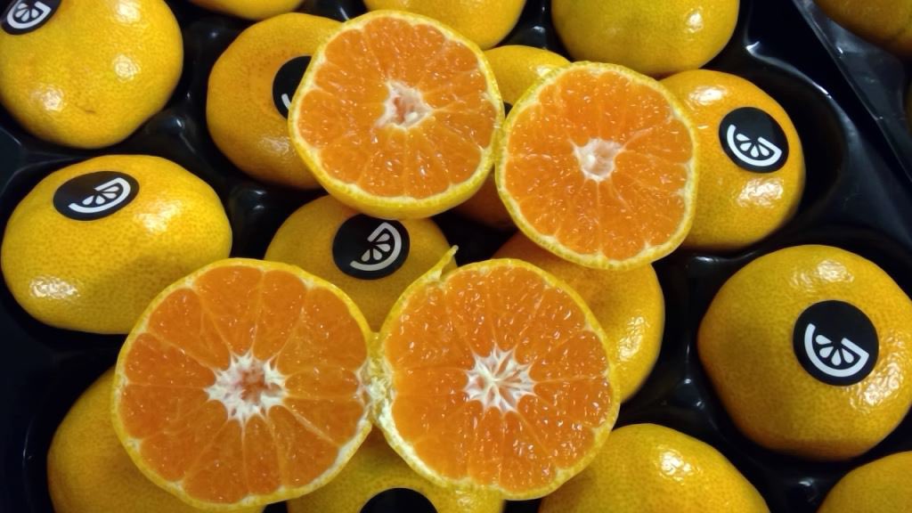 Pacific Produce tweet media