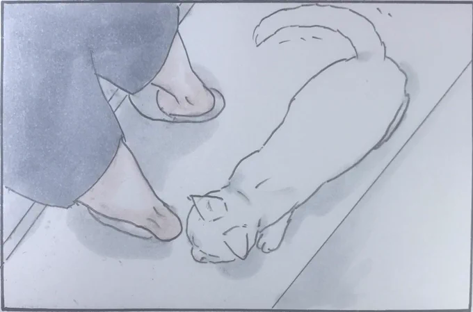 『密着24時』 