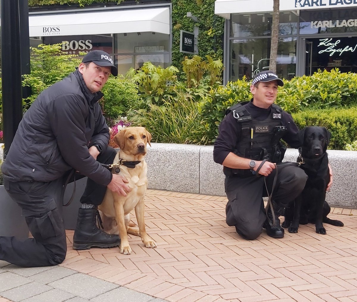 KPTacOps's tweet photo. Today our Passive Drugs initial course visited the #McArthurGlen in #Ashford. Here are TPD Hector (L) and TPD Hudson (R) with handlers, we'll be training throughout the county and soon all dogs and handlers will be deployed across the county working to #KeepKentSafe AC. https://t.co/54VZdT9jcT