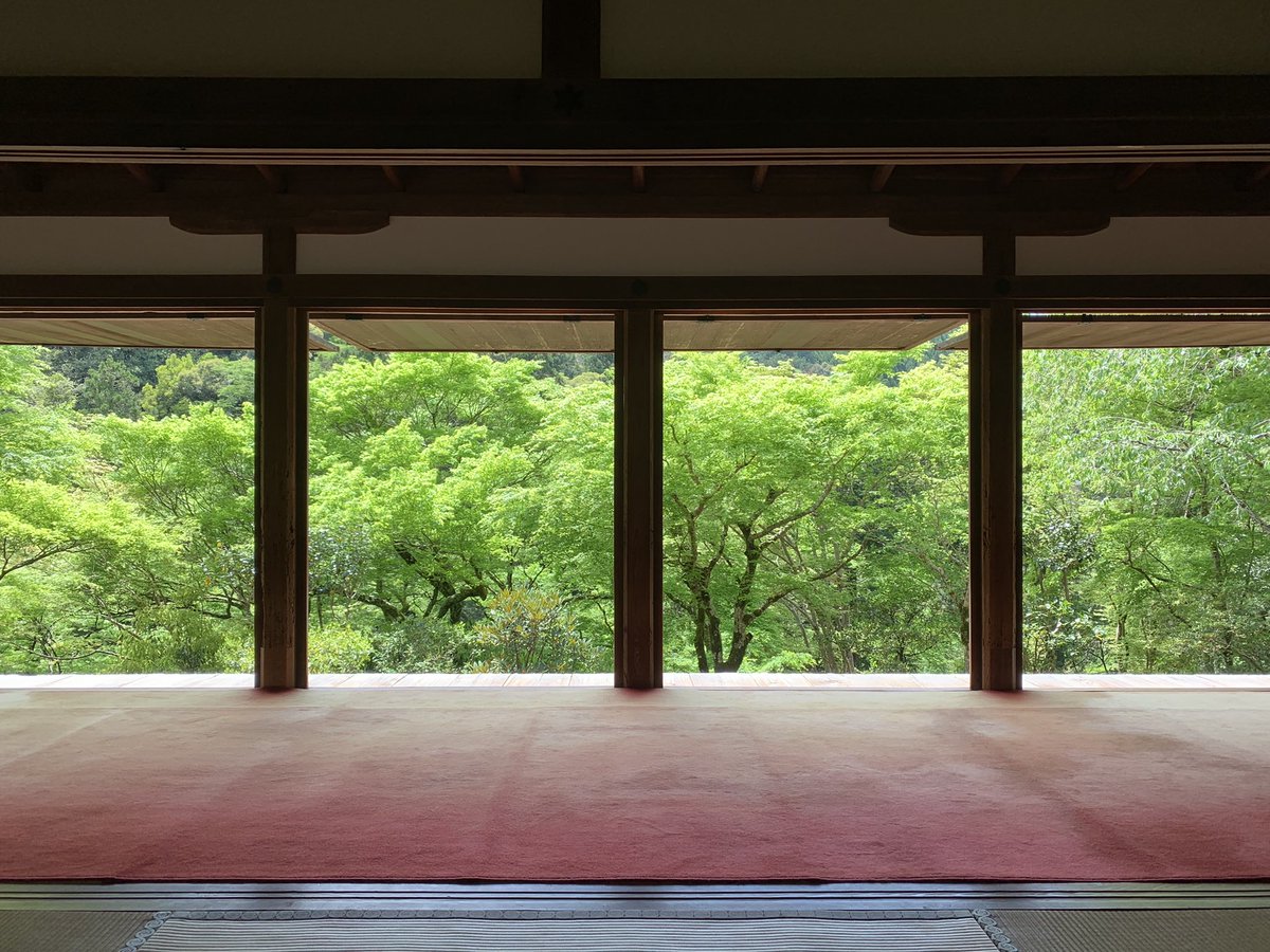 kosanji_temple's tweet photo. 【特別公開のご案内】
4月より事前予約制の特別公開を行なっております。
通常公開の国宝「石水院」をはじめ非公開の茶室「遺香庵」と茶園をご案内いたします。
書院での呈茶・特別朱印・鳥獣戯画グッズ付きです。
詳細は以下のURLよりご覧ください。

https://t.co/iW2wtFAaHc https://t.co/wg0Bjeuxu6