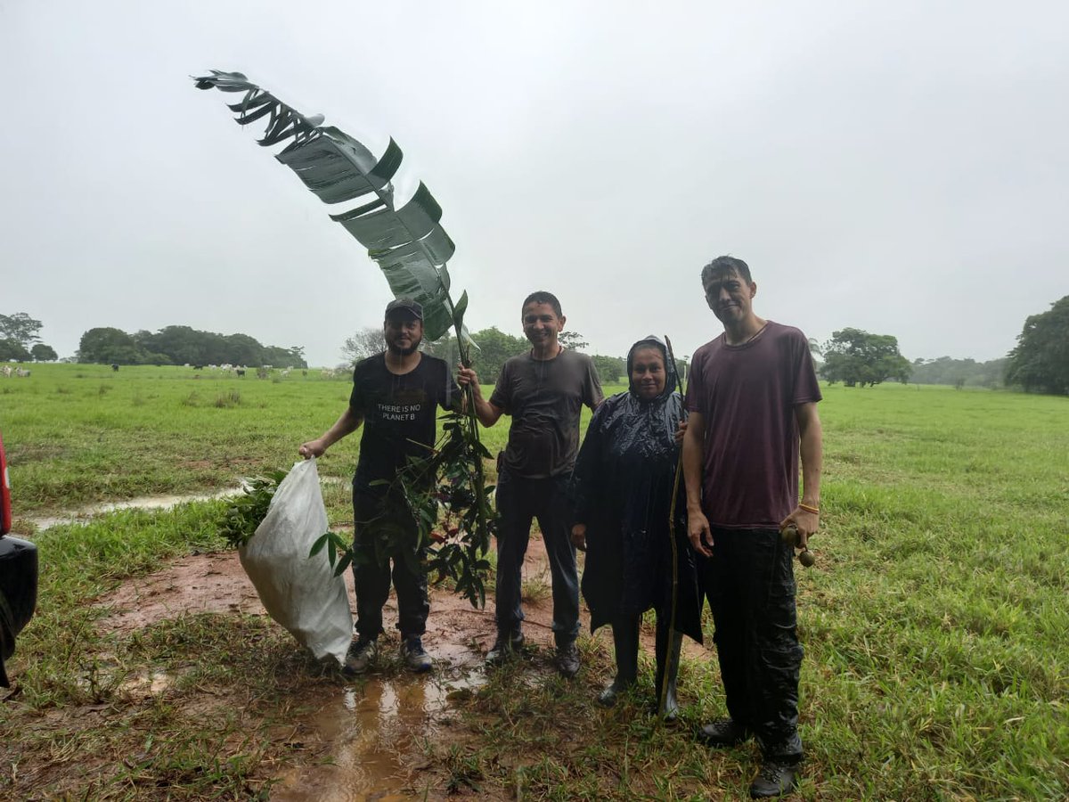 Colectando plantas en las sabanas llaneras, San Juan de Arama, Meta.