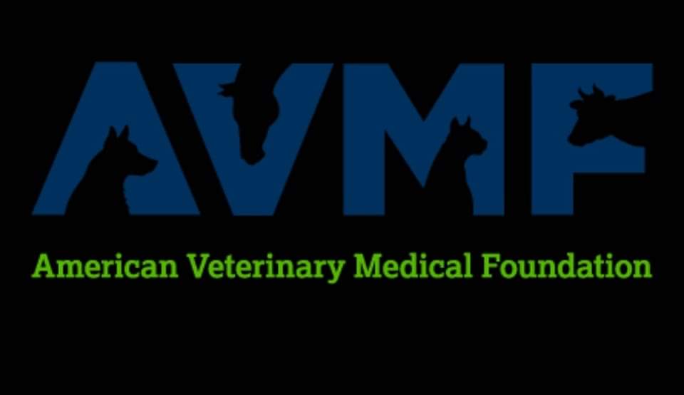 bsuglenn's tweet photo. The American Veterinary Medical Foundation believes that by investing in the education of America's veterinary students we play a role in ensuring that future veterinarians have the skills and training necessary to treat our pets
https://t.co/lutGx3S53f https://t.co/mIGwZVcXKw