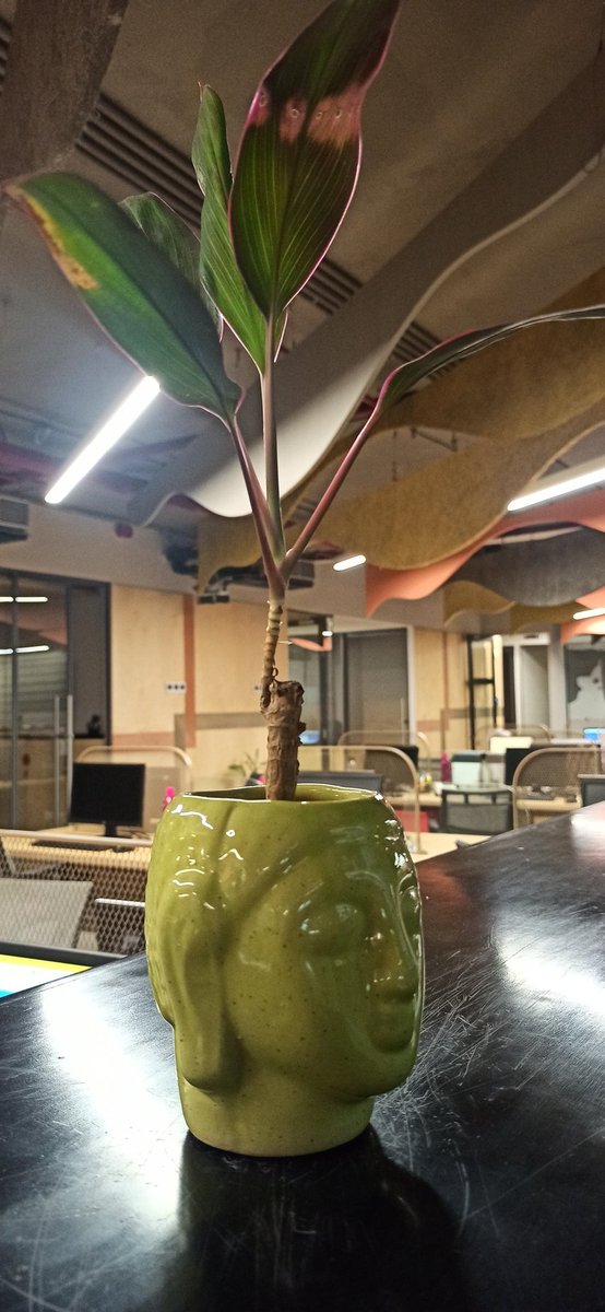 Buddhaam Sharanam Gacchami