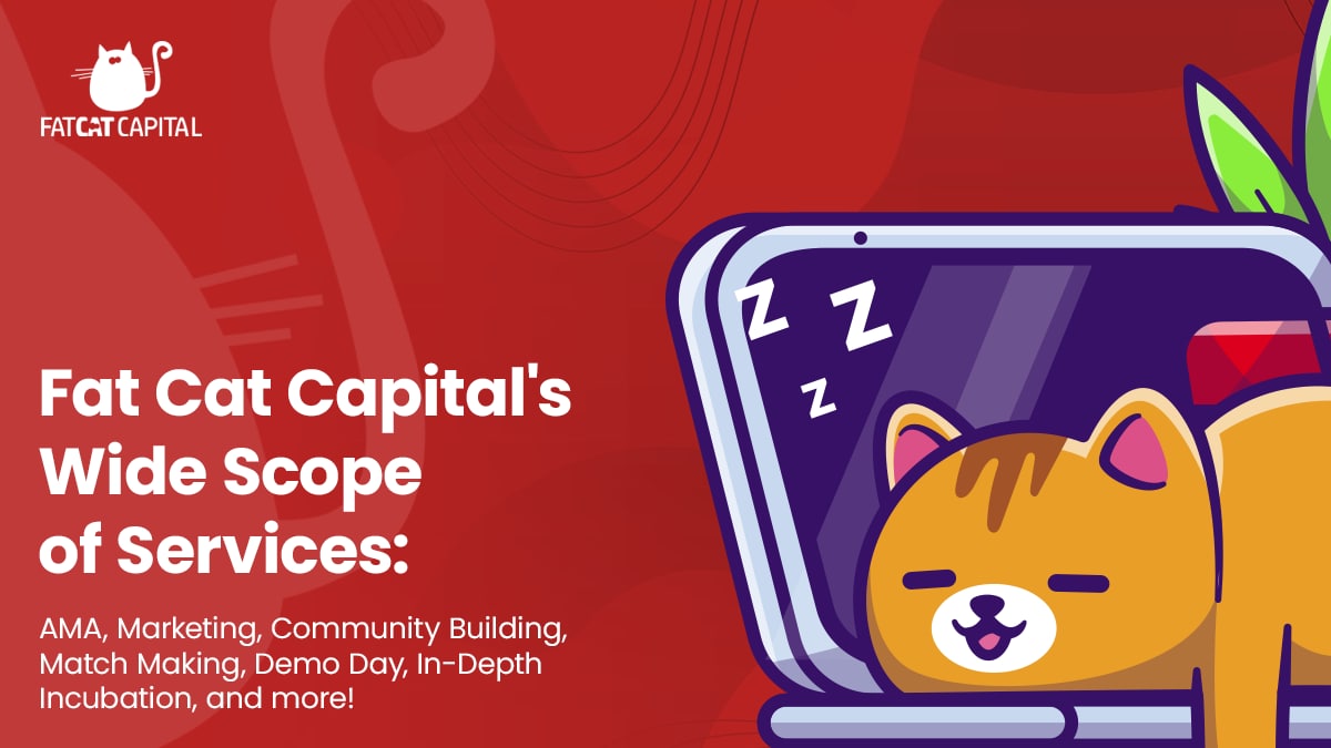 MerlinFinance_X's tweet photo. #FatCatCapital's Wide #Scope of #Services:

AMA, Marketing, Community Building, Match Making, Demo Day, In-Depth Incubation, and more!

#cryptocurrency https://t.co/PrIhifbA3M