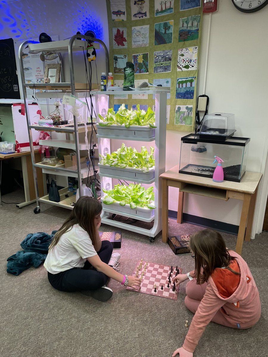 Mr.Burke tweet media