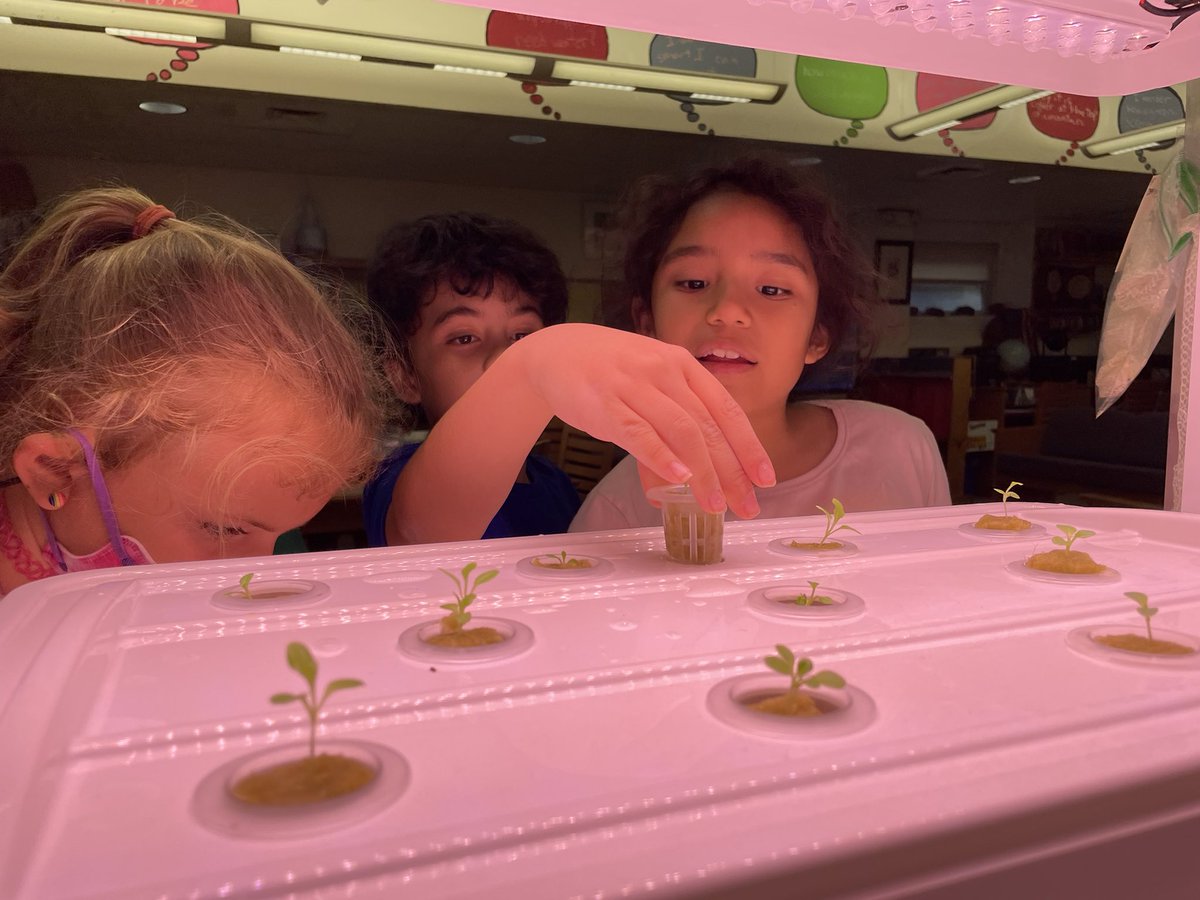 Mr.Burke tweet media