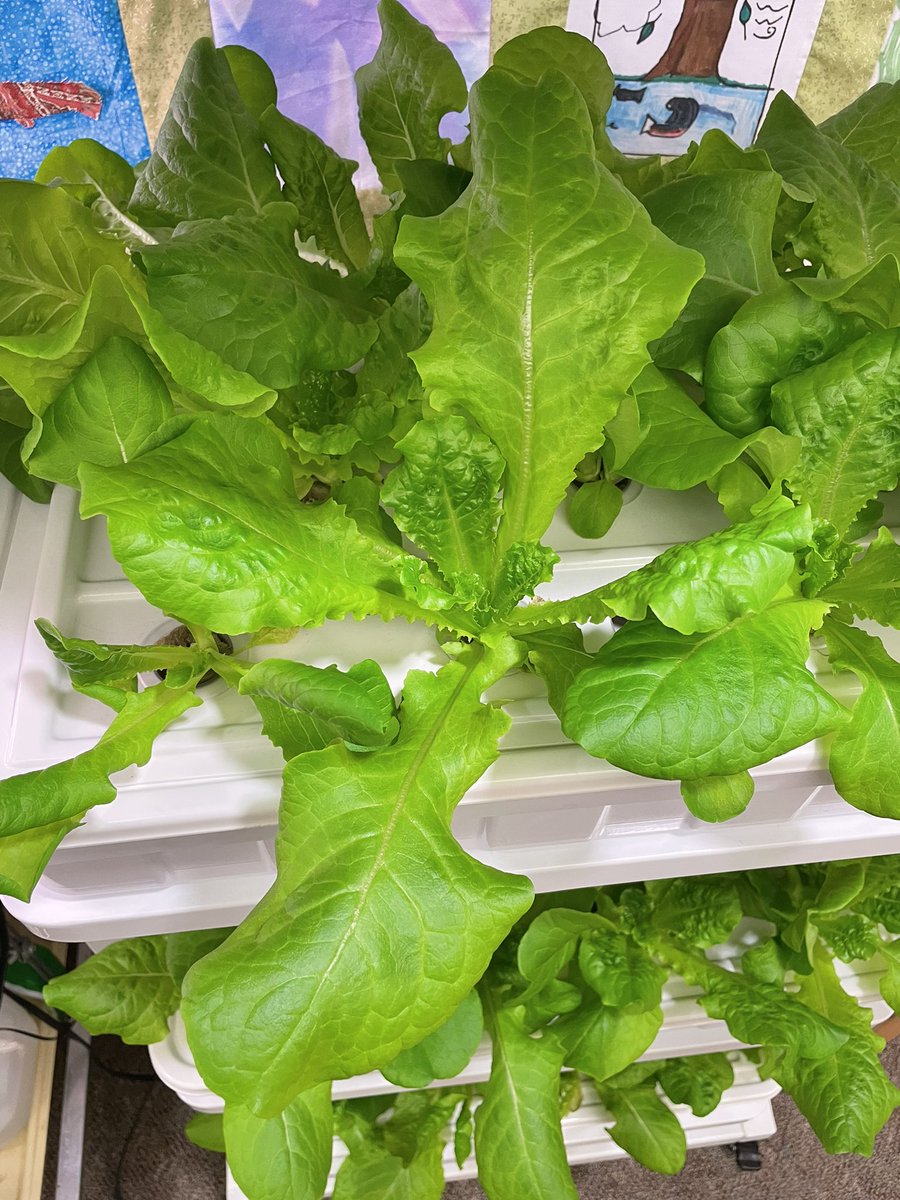 Mr.Burke tweet media