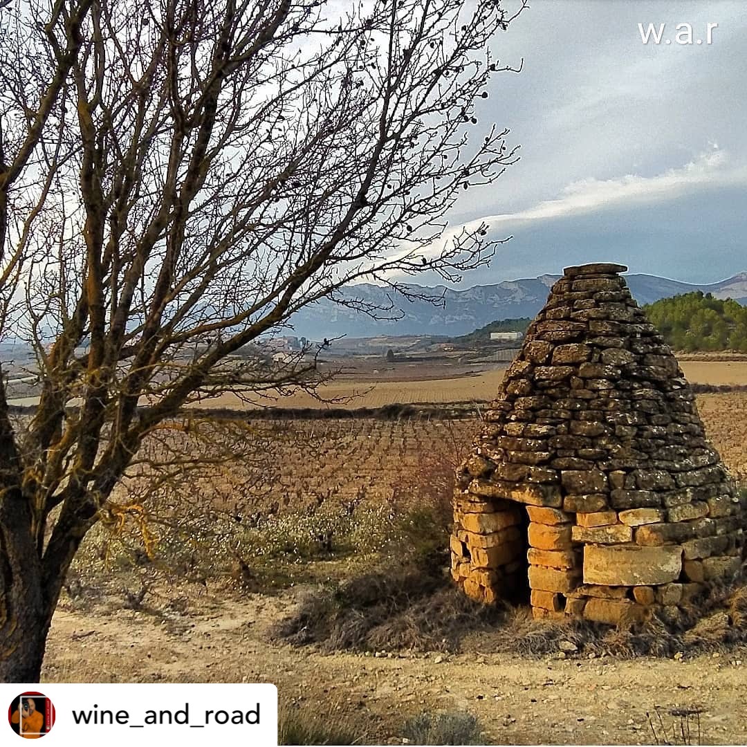 ABRA_Vino's tweet photo. Los #chozos o #guardaviñas son construcciones de piedra de forma cónica. Son una especie de iglús de piedra que sirvieron como refugio para los agricultores en los días menos apacibles...
📸 Chozo de #Navaridas captado por @Wineandroad
#FONDOSFEADER https://t.co/9k8sR0sfSN