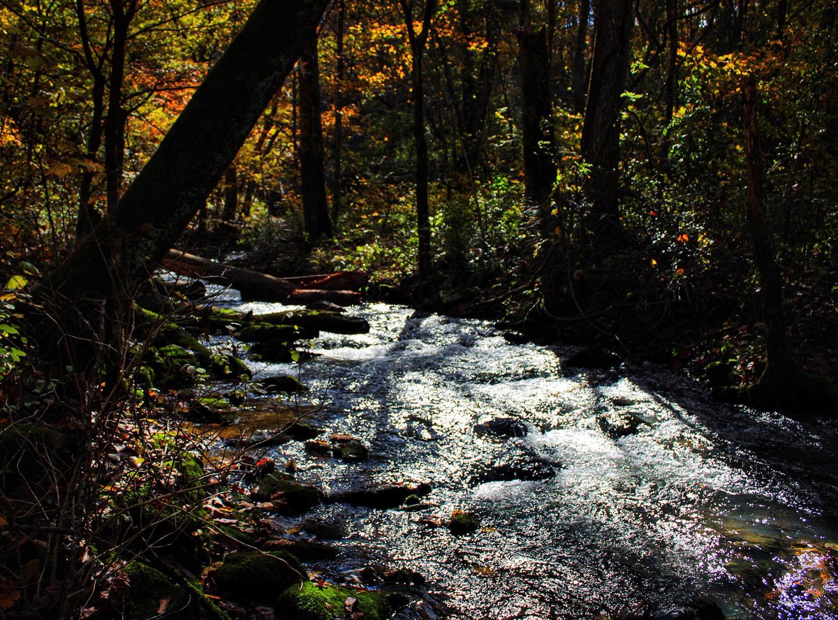 jesspokropinski's tweet photo. Going with the flow.#naturevibes #nature #springmill #hiking https://t.co/xp1ewMhKxK