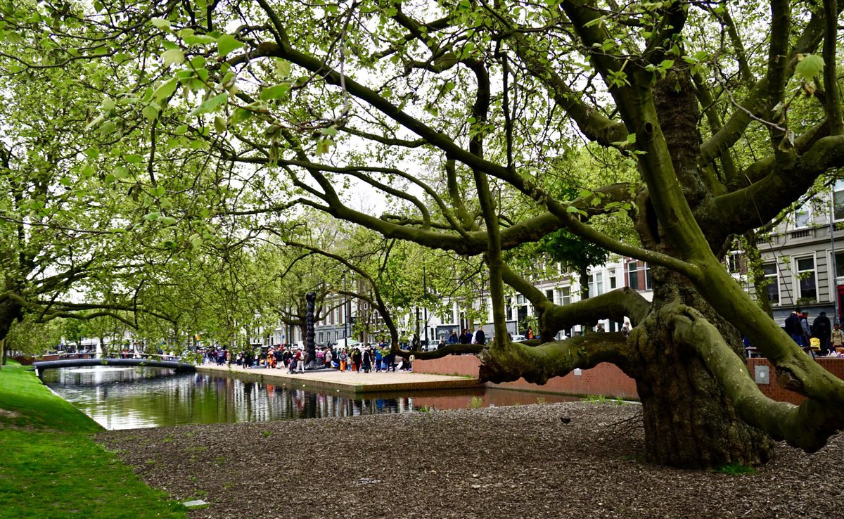 ol2016's tweet image. Vandaag in #rotterdam #koningsdag #vrijmarkt