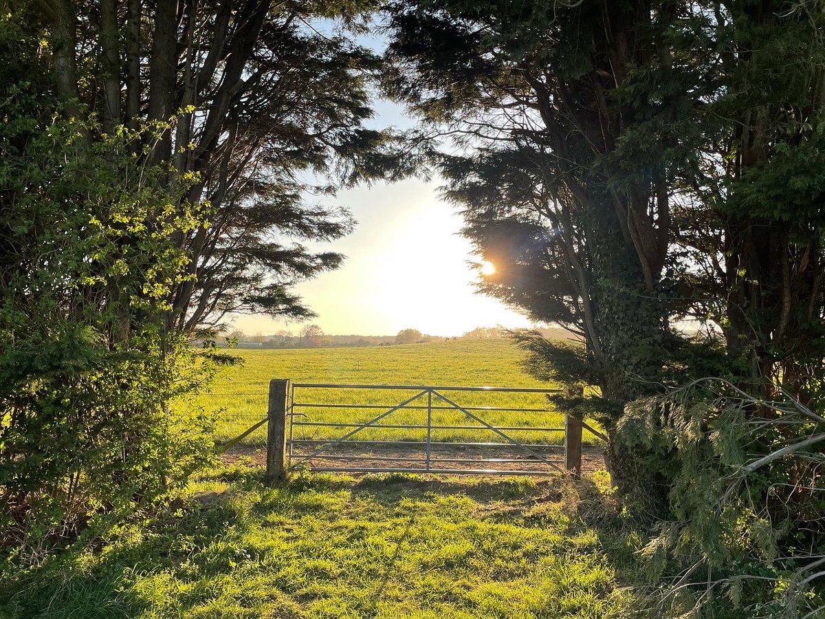 Worsteadfest's tweet photo. The gates open in three months. Time to book sponsorship and pitches https://t.co/LwtsKZxzul All roads and furrows lead to Worstead 30/31 July. #norfolkchamberofcommerce #edp #bbcnorfolk https://t.co/GPe3ecapH8