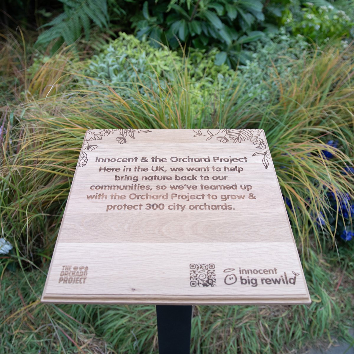 innocent's tweet photo. We're giving away some of our carbon neutral orange juice and packets of seeds for the rest of the day, so come and grab some if you're passing. It'll make you look at least 300% more interesting on the tube home.

Click to learn about our #BigRewild.

https://t.co/e3fzGErJpi https://t.co/FhlgwexBCI