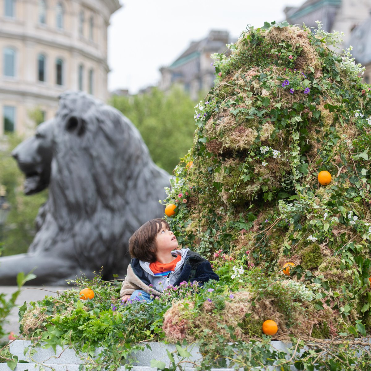 innocent's tweet photo. We're giving away some of our carbon neutral orange juice and packets of seeds for the rest of the day, so come and grab some if you're passing. It'll make you look at least 300% more interesting on the tube home.

Click to learn about our #BigRewild.

https://t.co/e3fzGErJpi https://t.co/FhlgwexBCI