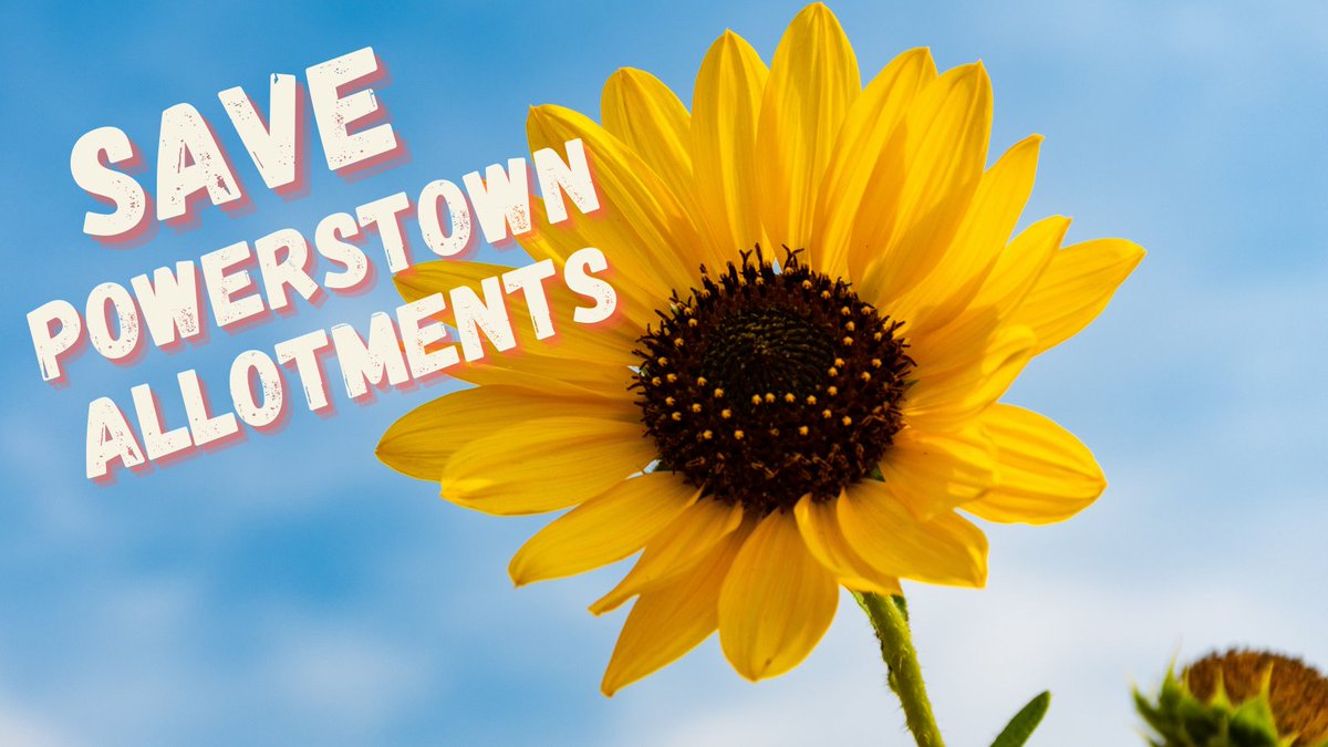 powerstownallot's tweet photo. πThank you to everyone who has signed our petition to save #Powerstown #allotments so far!
Please help us get to 500π
π¦ππ¦πΈπ₯π±π₯π§
π
https://t.co/wL6HHDVNOu
@dublinpeople @925PhoenixFM @nearfm @jackfchambers @CllrGMaguire @DanielWhooley @seanaorodaigh https://t.co/49eMGPIUtd