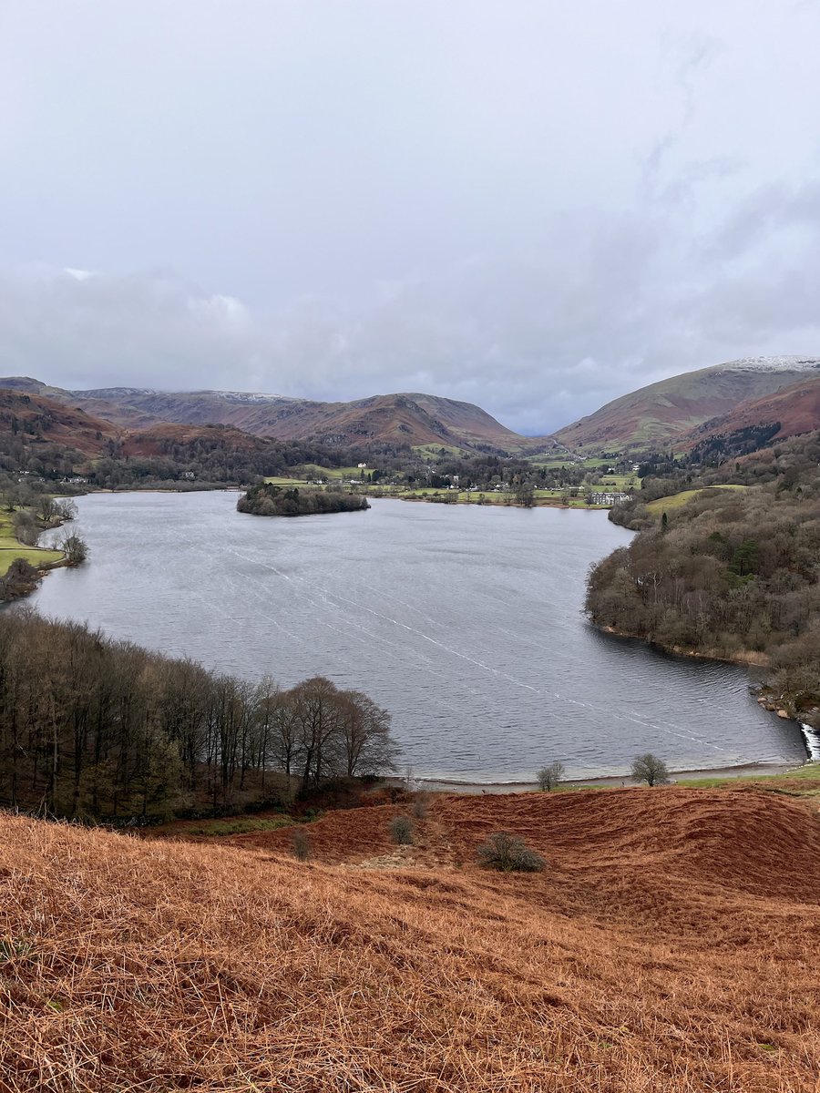 Dave Collister tweet media