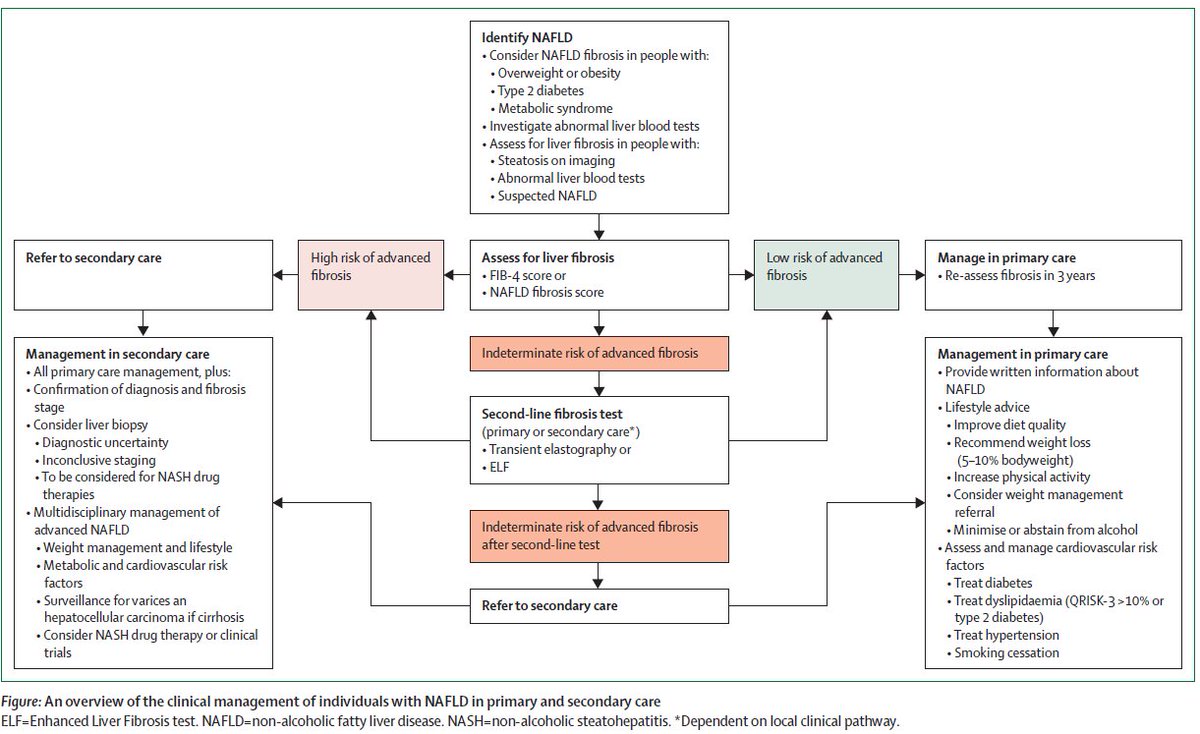 New Review - Quality standards for the management of non-alcoholic fatty liver disease (#NAFLD): consensus recommendations from the <a href="/BASLedu/">BASL education feed</a> &amp; <a href="/BritSocGastro/">BSG</a> NAFLD Special Interest Group

thelancet.com/journals/langa…

#fattyliver #livertwitter