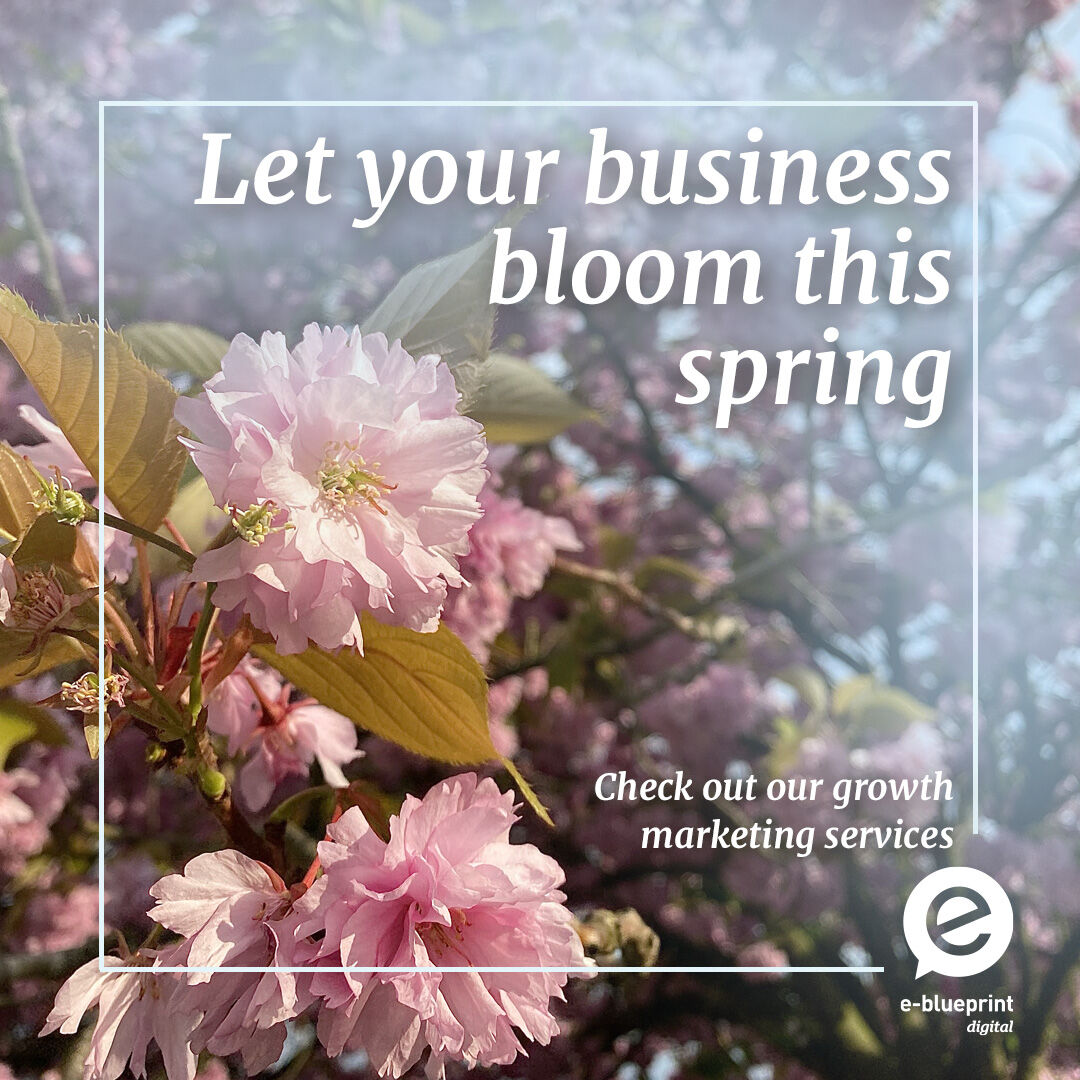 Let your business bloom into its full potential with our excellent growth marketing services!
