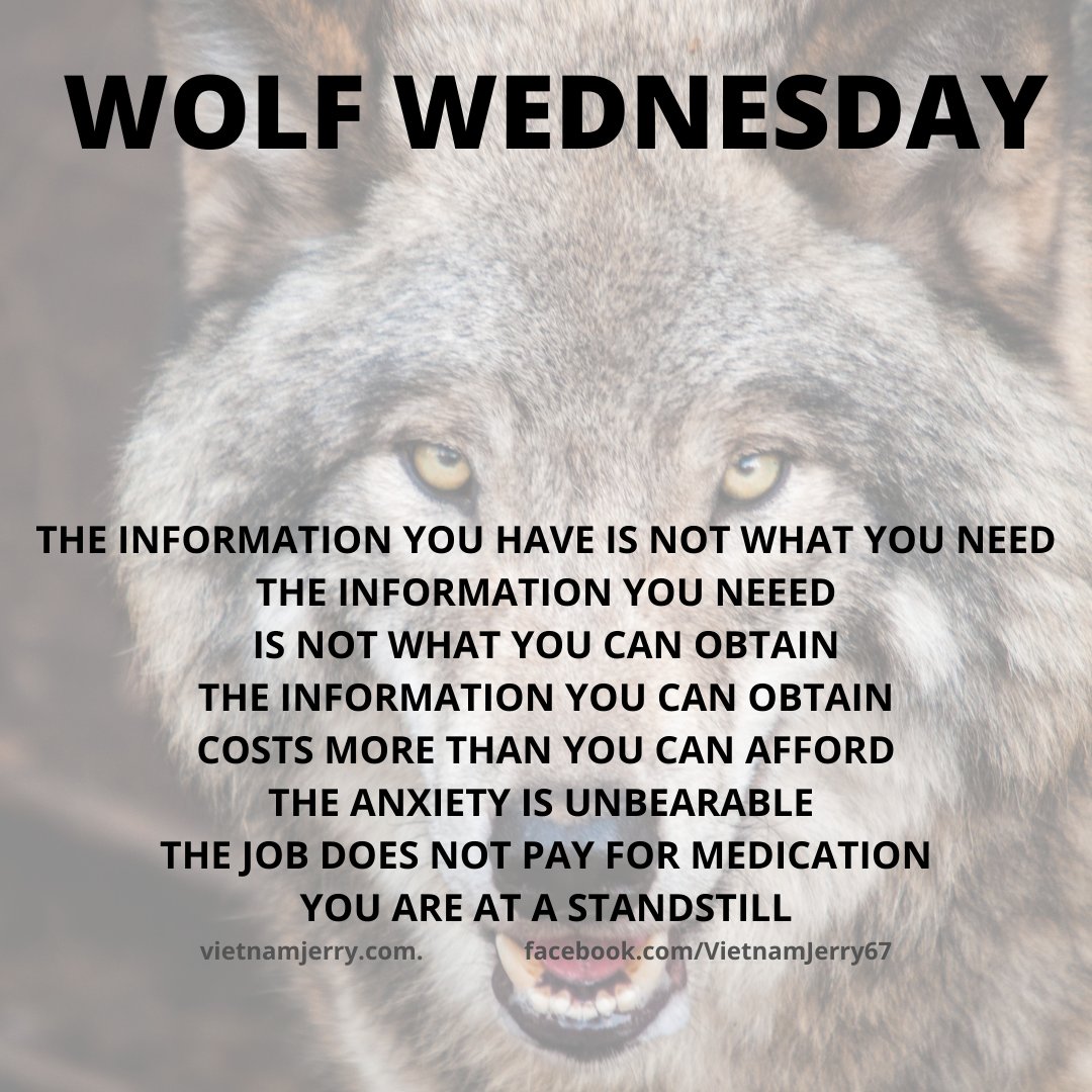jerry_glazer's tweet photo. WOLF WEDNESDAY - #success #leadeership #vietnamvets #wolfwednesday #lessonslearned https://t.co/9AabMS2JXi