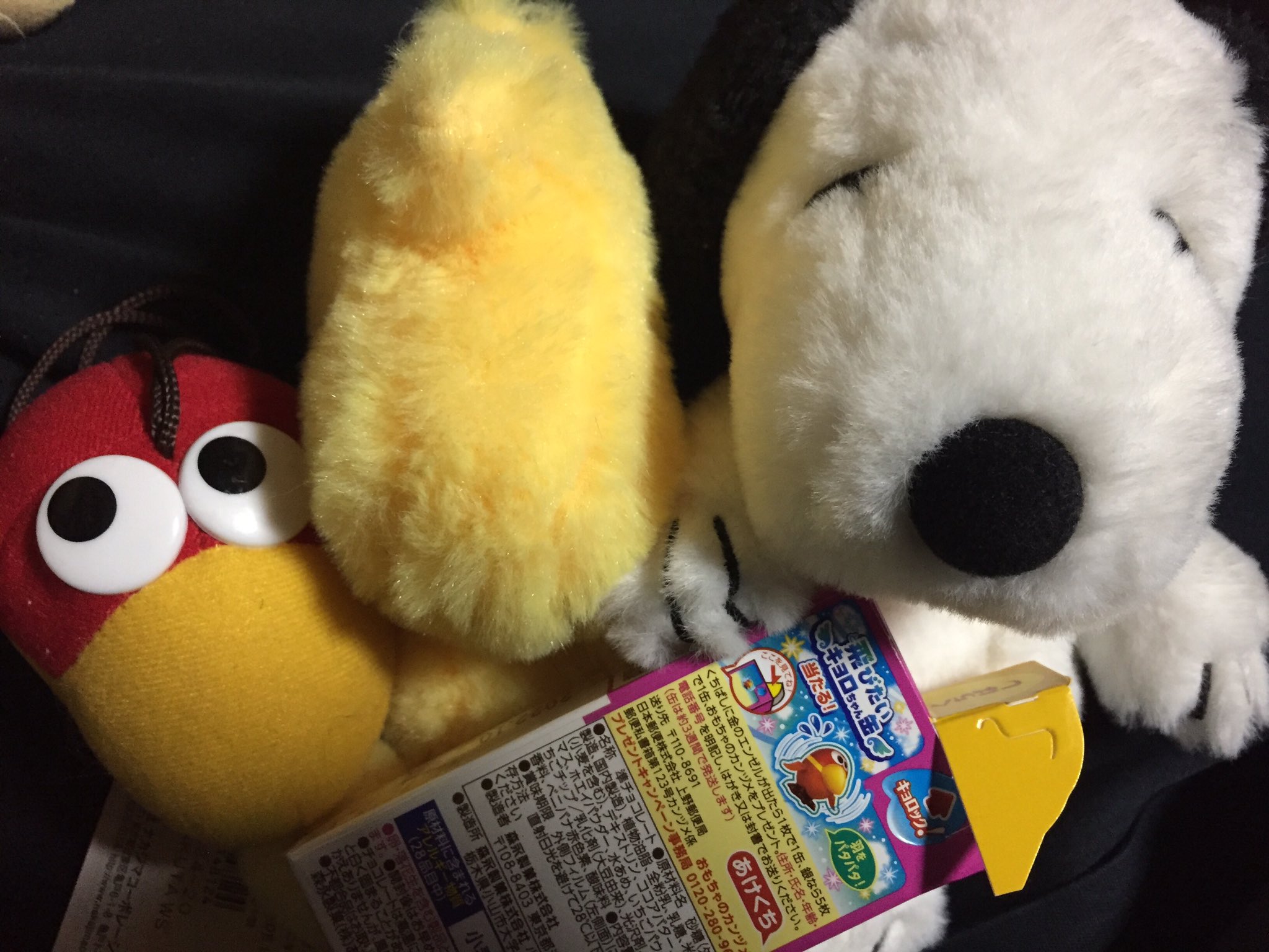 ウッドストック Twitter Search Twitter