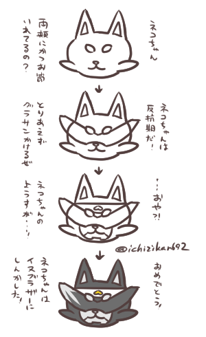 ネコちゃんからワンちゃんへ ふと思い立ったので。 