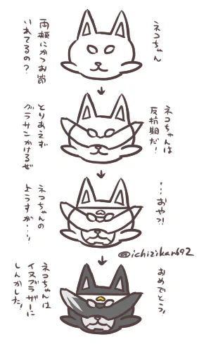 ネコちゃんからワンちゃんへ ふと思い立ったので。 