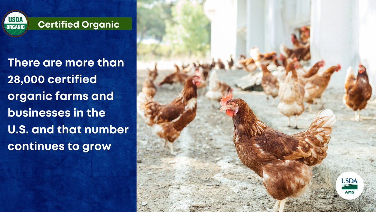 USDA_AMS's tweet photo. NOP was established by Congress as a public/private partnership between USDA and third-party accredited certifiers. The first group accredited included 30 organizations serving early organic hot spots.
https://t.co/NlLLaoNc9X https://t.co/FO4oG1s9YP