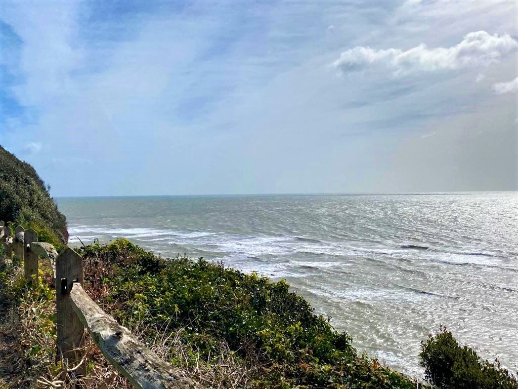 Hose Rhodes Dickson tweet media