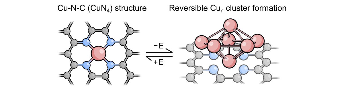 Charles Creissen tweet media