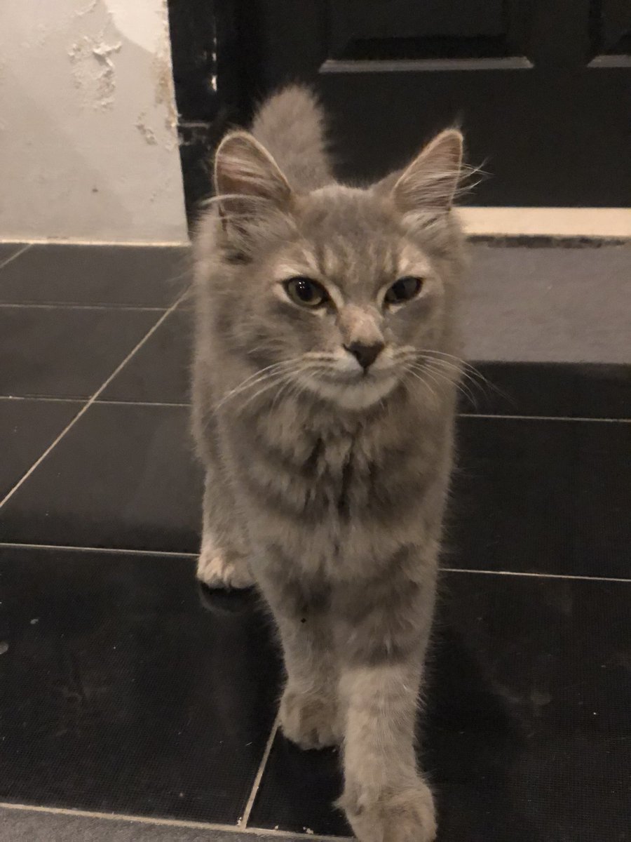 Kalo abis lebaran masih ada aku bawa pulang ah <a href="/sheilaazarina/">Sheila</a> 😌