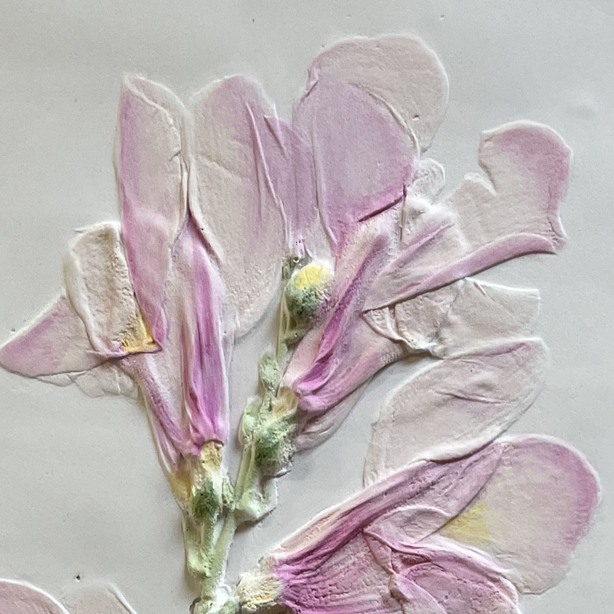 rhwelter's tweet photo. Some pink Snapdragons for spring, lots of fun to paint. Happy Spring everyone. 🎨🖌️👩🎨 #snapdragon #garden #handmade #handpainted #ceramics #plasterart #botanical #botanicalbasrelief #decorativetile 🌸🌷🌼 https://t.co/BRpdM8rKVx