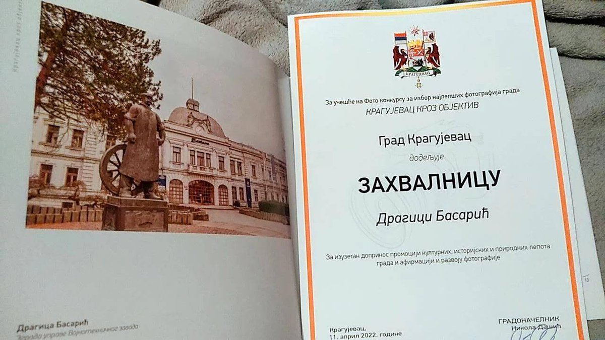 🎀 Dragica Basarić 🎀📸 tweet media