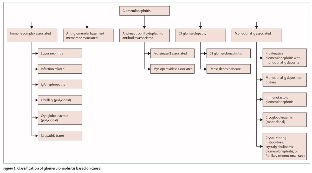 dramistralCM's tweet photo. GLOMERULONEFRITIS AGUDA

✳️Definiciones de presentaciones clínicas.
➡️Clasificación por etiología.
📌Tabla con diferentes tipos de glomerulonefritis.

Lancet 2022; 399: 1646–63.
doi: 10.1016/S0140-6736(22)00461-5
#MedicinaInterna #Nefrologia https://t.co/rEVtAFfAHW