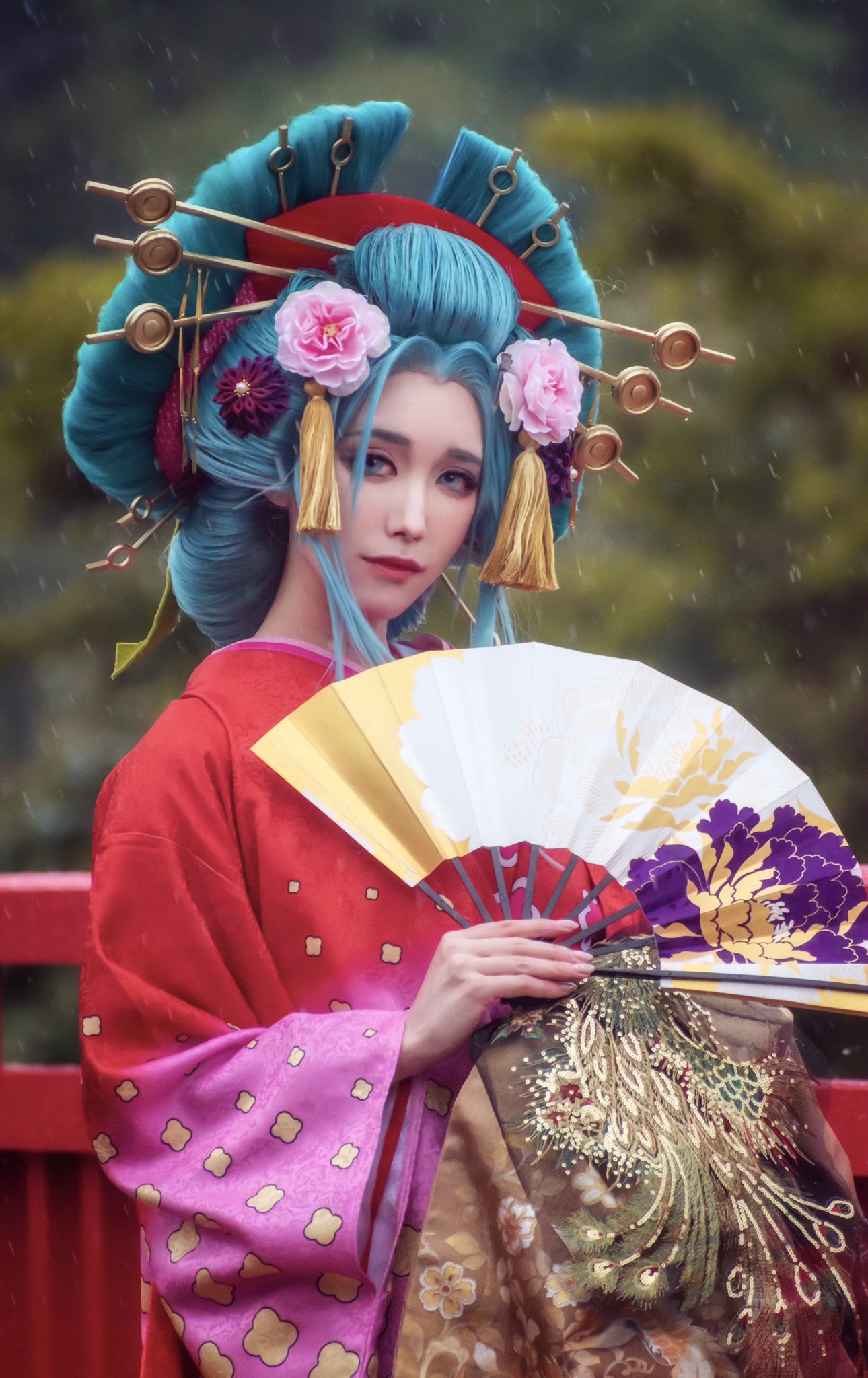 活動歴および当時の関連ビジュアル記録